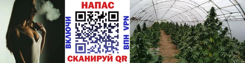 Каннабис MAZAR  купить  сайты  Белорецк 